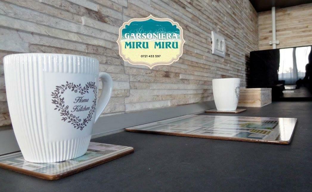 Appartement Garsoniera Miru Miru à Năvodari Extérieur photo